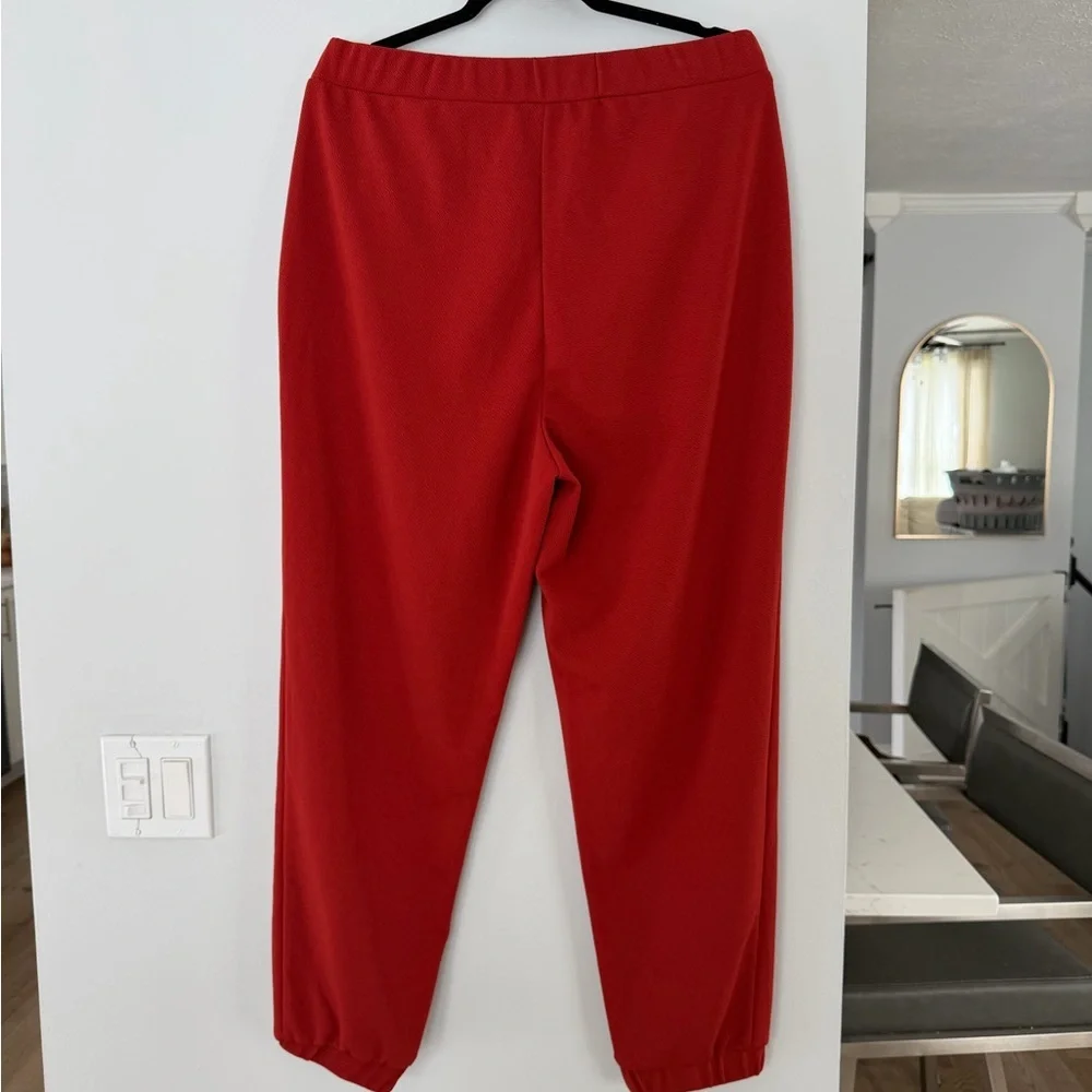 LC by Laura Cruz Burnt Orange Jogger Pants Size 1X NWOT